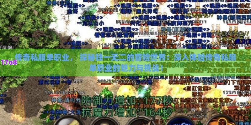 热血传奇私服， 穿越时空的战场：热血传奇私服的无限魅力与探险之旅