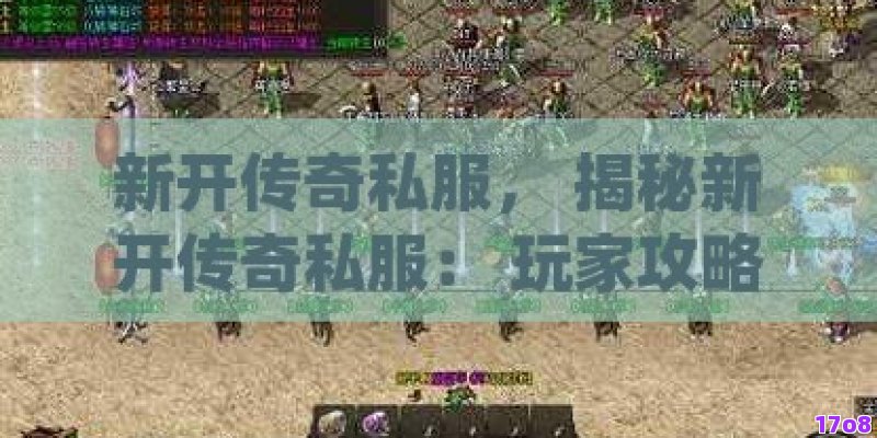 新开传奇私服， 揭秘新开传奇私服： 玩家攻略与心得分享