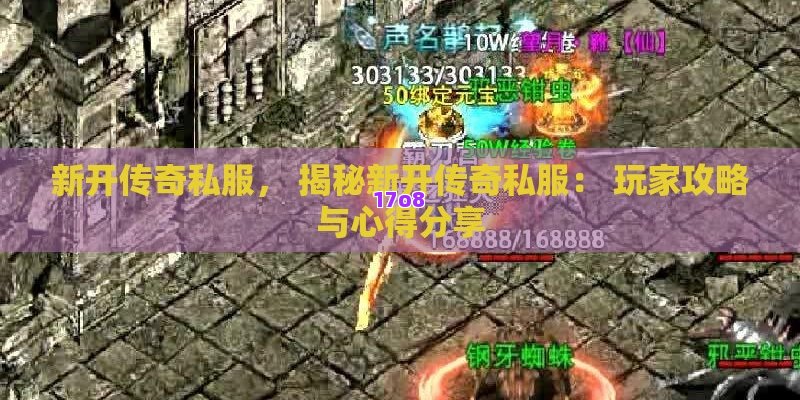 新开传奇私服， 揭秘新开传奇私服： 玩家攻略与心得分享