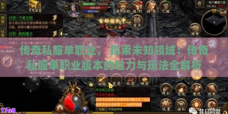 传奇私服单职业， 探索未知领域：传奇私服单职业版本的魅力与玩法全解析