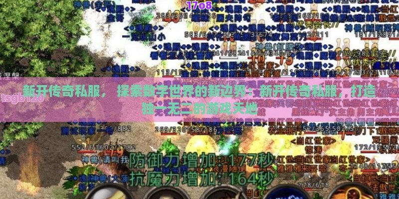 新开传奇私服， 探索数字世界的新边界：新开传奇私服，打造独一无二的游戏天地