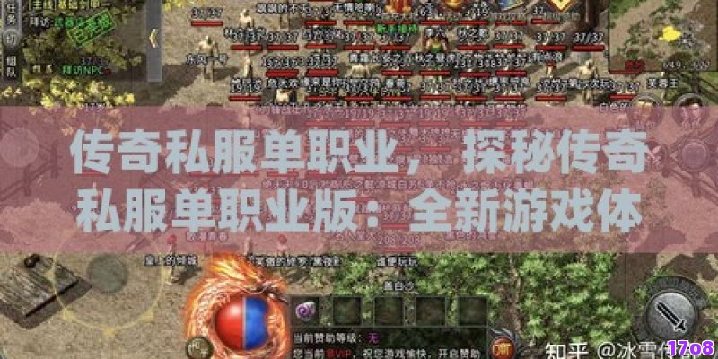 传奇私服单职业， 探秘传奇私服单职业版：全新游戏体验与攻略详解！