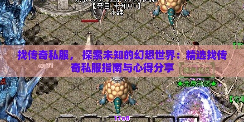 找传奇私服， 探索未知的幻想世界：精选找传奇私服指南与心得分享