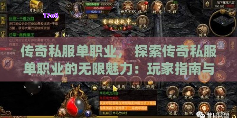 传奇私服单职业， 探索传奇私服单职业的无限魅力：玩家指南与攻略秘籍