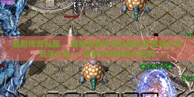 最新传奇私服， 揭秘最新传奇私服的无限魅力与玩法大全 — 探索未知的魔幻世界
