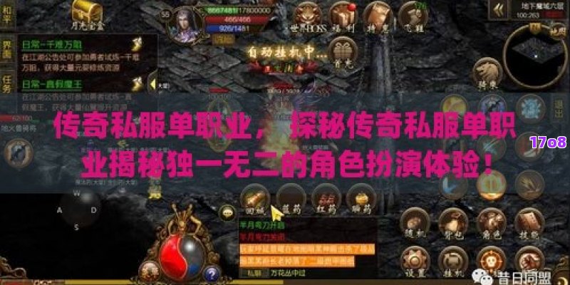 传奇私服单职业， 探秘传奇私服单职业揭秘独一无二的角色扮演体验！
