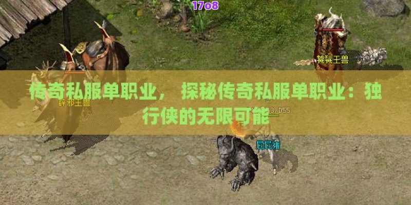 传奇私服单职业， 探秘传奇私服单职业：独行侠的无限可能