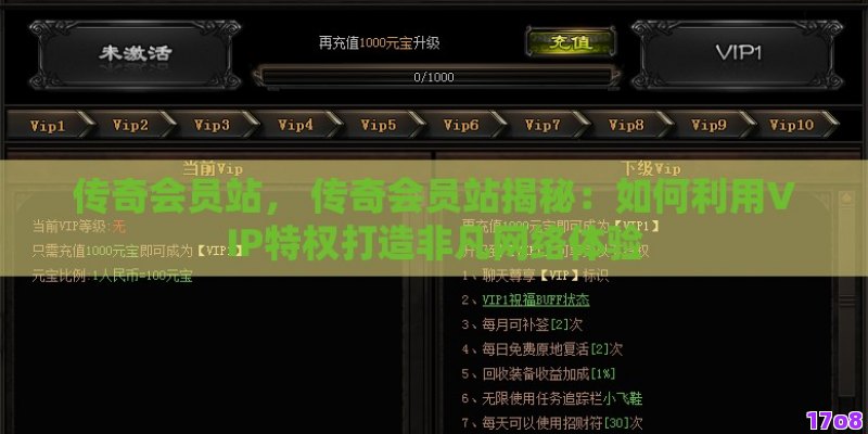 传奇会员站， 传奇会员站揭秘：如何利用VIP特权打造非凡网络体验