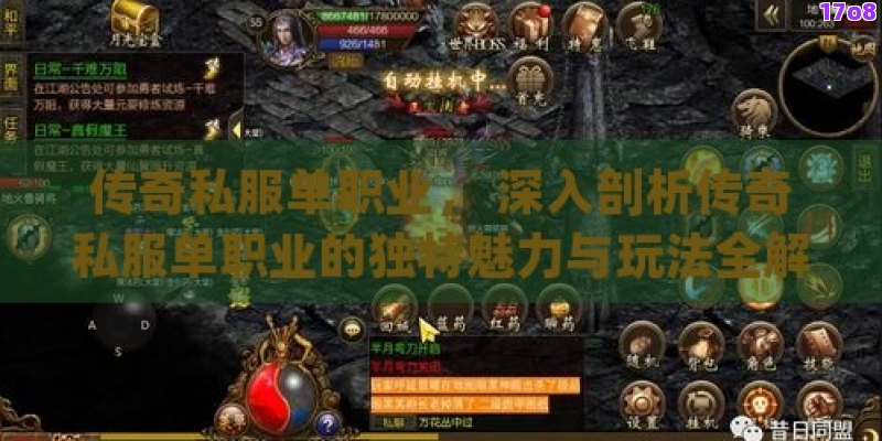 传奇私服单职业， 深入剖析传奇私服单职业的独特魅力与玩法全解析——新老玩家必备攻略