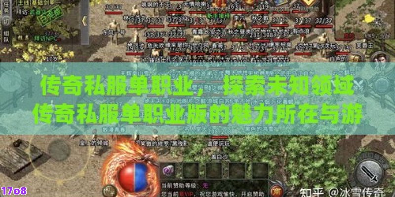 传奇私服单职业， 探索未知领域传奇私服单职业版的魅力所在与游戏心得分享