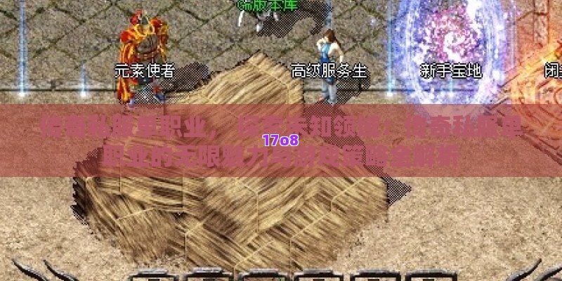 传奇私服单职业， 探索未知领域：传奇私服单职业的无限魅力与游戏策略全解析