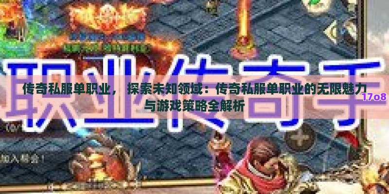 传奇私服单职业， 探索未知领域：传奇私服单职业的无限魅力与游戏策略全解析