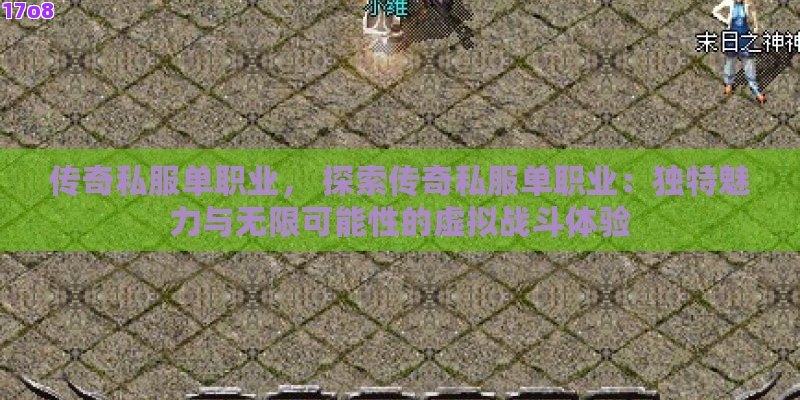 传奇私服单职业， 探索传奇私服单职业：独特魅力与无限可能性的虚拟战斗体验