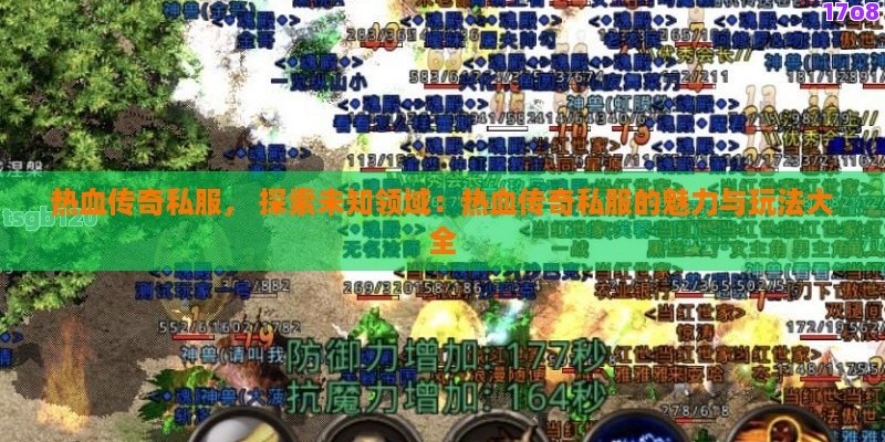热血传奇私服， 探索未知领域：热血传奇私服的魅力与玩法大全