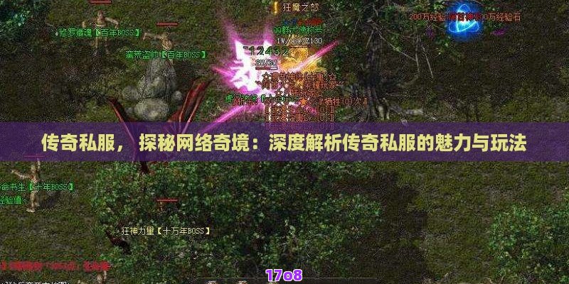 传奇私服， 探秘网络奇境：深度解析传奇私服的魅力与玩法