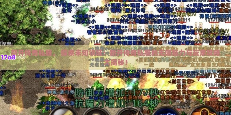 新开传奇私服， 探索未知领域：新开传奇私服的无限魅力与玩家攻略大揭秘！