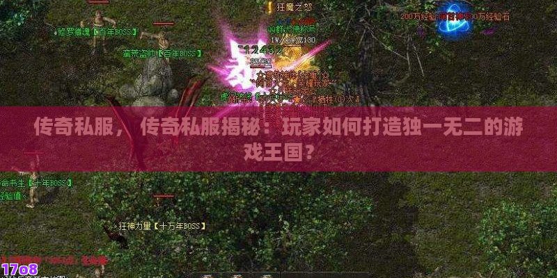 传奇私服， 传奇私服揭秘：玩家如何打造独一无二的游戏王国？