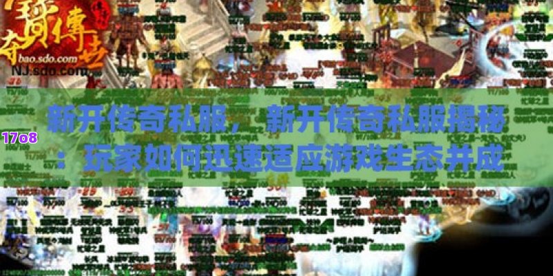 新开传奇私服， 新开传奇私服揭秘：玩家如何迅速适应游戏生态并成为顶尖高手