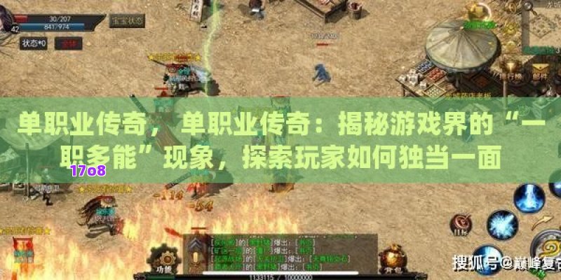 单职业传奇， 单职业传奇：揭秘游戏界的“一职多能”现象，探索玩家如何独当一面