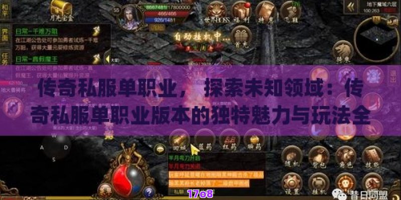 传奇私服单职业， 探索未知领域：传奇私服单职业版本的独特魅力与玩法全解析
