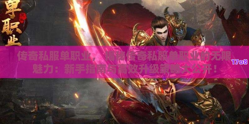 传奇私服单职业， 揭秘传奇私服单职业的无限魅力：新手指南与高效升级策略大公开！