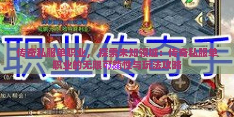 传奇私服单职业， 探索未知领域：传奇私服单职业的无限可能性与玩法攻略