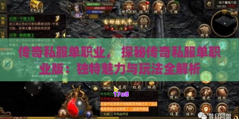传奇私服单职业， 探秘传奇私服单职业版：独特魅力与玩法全解析